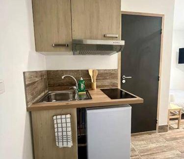 Saint-Fons Apartment | 17 m² Apartment ∙ 1 bedroom ∙ 2 guests