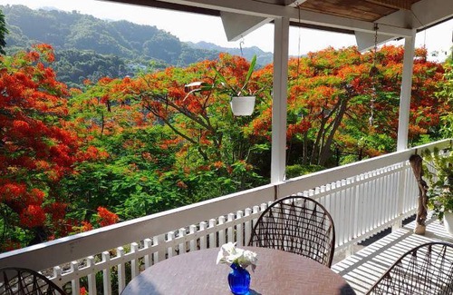 Constant Spring Bed & Breakfast | 17 m² Bed and breakfast ∙ 127 guests