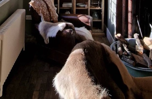 Balcombe Other | 17th Century Country Manor House - 15 mins Gatwick, 40 mins London
