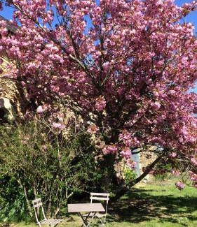 La Jaille-Yvon Bed & Breakfast | 18 m² Bed and breakfast ∙ 3 guests