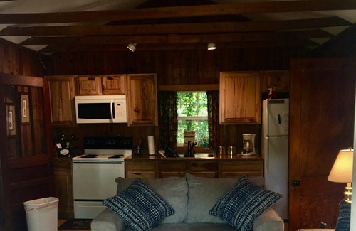 Jones Mills Cabin | 1950's Knotty Pine Cabin updated features View of Mountains/Lake Catherine Quiet