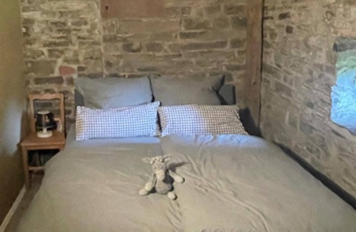 Bongard Other | 2-bed vacation apartment shower/WC, incl. donkey hike - Donkey hike Eifel,