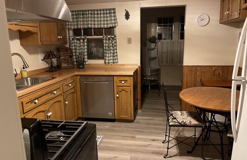 Indian River Cabin | 2-bedroom cottage just a short walk to downtown Indian River, beaches/Burt Lake
