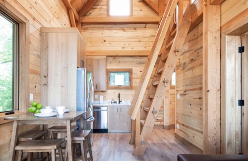 Laura House | #2 Squirrel Sanctuary