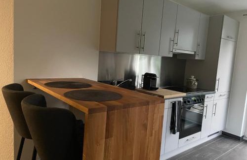 Triesenberg Apartment | 2-Zimmer Ferienwohnung an ruhiger Lage