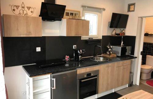 Colombier-Saugnieu Apartment | 20 m² Apartment ∙ 1 bedroom ∙ 2 guests