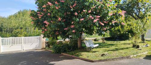 Moncontour Bed & Breakfast | 20 m² Bed and breakfast ∙ 2 guests