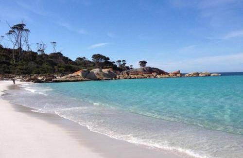 Binalong Bay Apartment | 200 m² Apartment ∙ 1 bedroom ∙ 2 guests