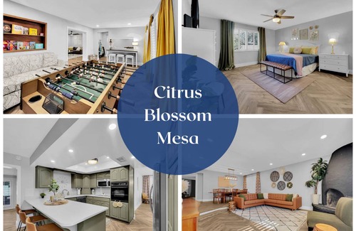 Dobson Ranch House | 205 m² House ∙ 3 bedrooms ∙ 10 guests