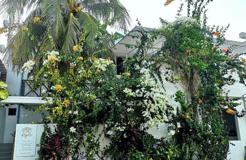 Thulusdhoo Island Bed & Breakfast | 21 m² Bed and breakfast ∙ 2 guests