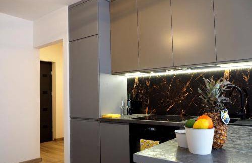 Biezanow - Prokocim Apartment | 25 m² Apartment ∙ 1 bedroom ∙ 4 guests