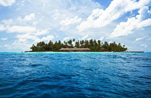 Kuda Bandos Resort | 250 m² Resort ∙ 127 guests