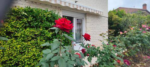 Brive-la-Gaillarde Apartment | 27 m² Apartment ∙ 1 bedroom ∙ 2 guests