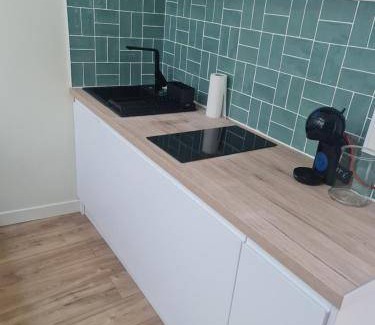 Roche-la-Moliere Apartment | 27 m² Apartment ∙ 1 bedroom ∙ 2 guests