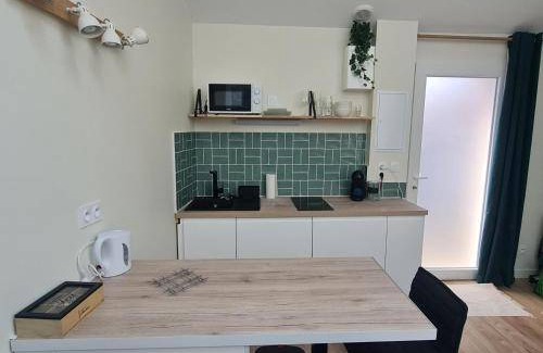 Roche-la-Moliere Apartment | 27 m² Apartment ∙ 1 bedroom ∙ 2 guests
