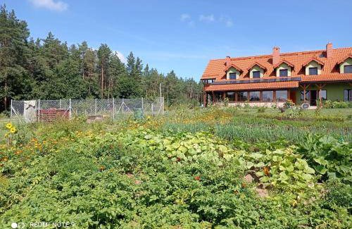 Gorlo Bed & Breakfast | 28 m² Bed and breakfast ∙ 2 bedrooms ∙ 4 guests