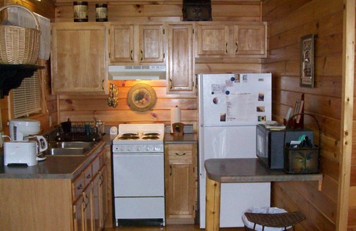 Cosby Cabin | 2BR cabin on Lg Mt creek in the heart of the Great Smoky Mountains National Park