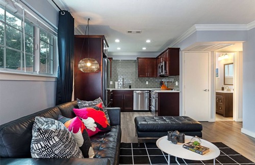 South Central Houston Apartment | 2BR The TMC Flats 08! Hermann Park! Zoo! ⭐️⭐️⭐️⭐️⭐️