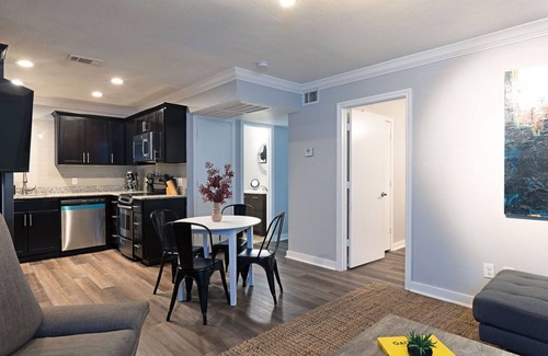 South Central Houston Apartment | 2BR The TMC Flats 11! Hermann Park! Zoo! ⭐️⭐️⭐️⭐️⭐️