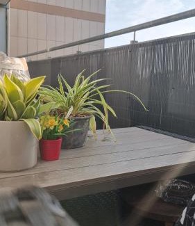 Zweckel Apartment | 3,5 Zimmer Wohnung 68qm in Gladbeck mit Balkon und Stellplatz