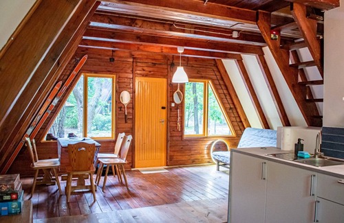 Wilga Cabin | 3 A-shaped cottages in a beautiful forest 1 hr drive from Warsaw
