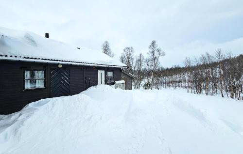 Tinn Apartment | 3 Bedroom Awesome Apartment In Rjukan
