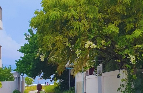 Thulusdhoo Island House | 3-bedroom house in charming Thulusdhoo with WiFi, AC