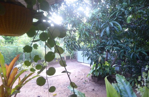 Udawalawa House | 3-bedroom house in fabulous Udawalawa with AC, WiFi