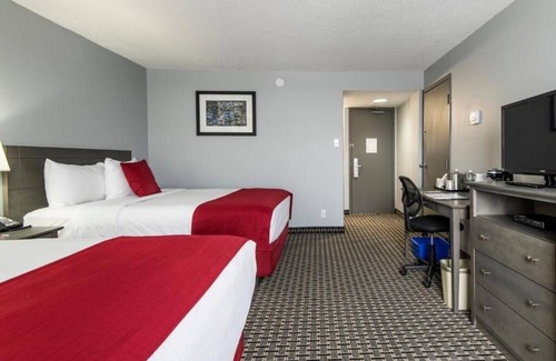 Grande Prairie Hotel | 3 Clean & Modern Rooms – 5 Min Walk to Majors Homestyle Restaurant