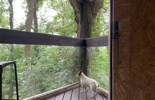 Longhope Cabin | 3 Guests - Pet Friendly - Grid Tree-House