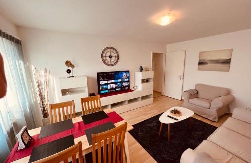 Wynau Apartment | 3-Room Apartment for Business Travelers or Familie, Free WiFi & TV with 100 Countries, DAZN, Sky, Netflix & Disney