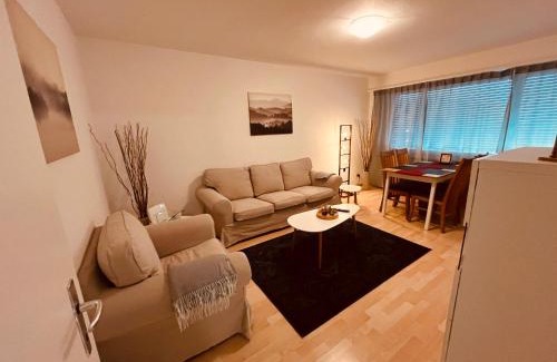 Wynau Apartment | 3-Room Apartment for Business Travelers or Familie, Free WiFi & TV with 100 Countries, DAZN, Sky, Netflix & Disney
