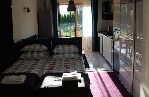 Stare Miasto District Apartment | 3- STUDIO features both WiFi and private parking free of charge.