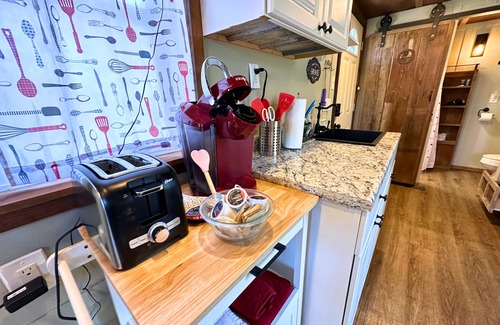 Hico Cabin | 3 Tiny Town Romantic tiny home Animals Fire Pit