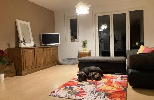 Schliengen Apartment | 3 Zi Wohnung Haustiere willkommen im Markgräflerland Dreiländereck