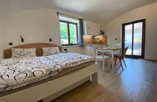 Hranice Apartment | 30 m² Apartment ∙ 1 bedroom ∙ 4 guests