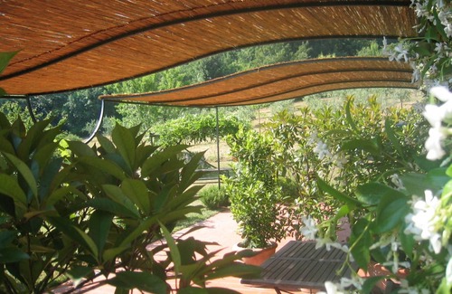 Orvieto Apartment | 30 m² Apartment ∙ 1 bedroom ∙ 2 guests