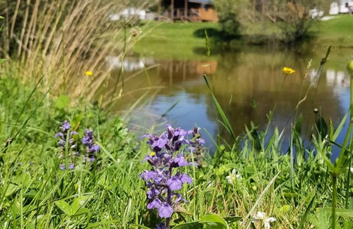 Le Fouilloux Ski Chalet | 30 m² Chalet ∙ 2 bedrooms ∙ 4 guests