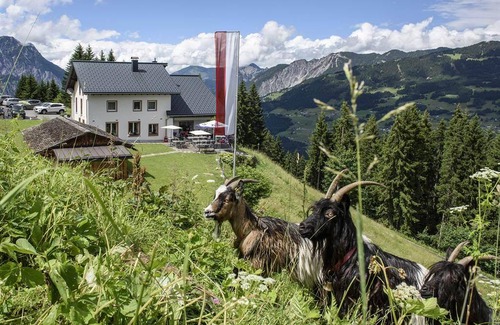 Tschagguns Hotel | 30 m² Hotel ∙ 2 bedrooms ∙ 5 guests