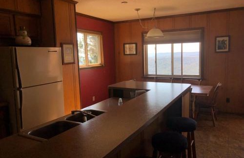 Snowshoe Apartment | 301 D Summit Dr. , Snowshoe Mountains, WV 26209