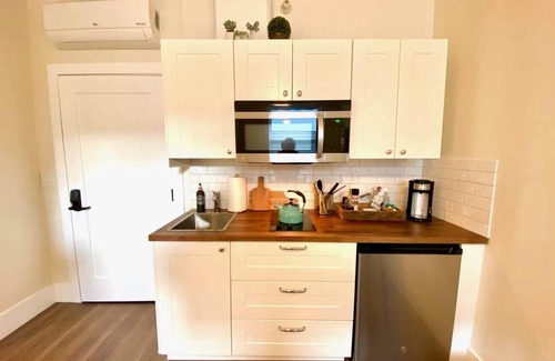 Downtown San Jose Apartment | 313-Bright 1 Bedroom downtown San Jose