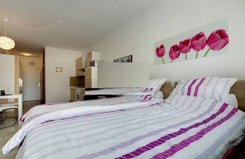 Am Riesenfeld Apartment | 33 m² Apartment ∙ 1 bedroom ∙ 2 guests