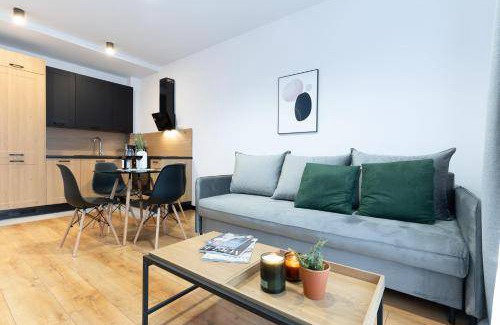 Nowe Miasto Lubawskie Apartment | 33 m² Apartment ∙ 1 bedroom ∙ 4 guests