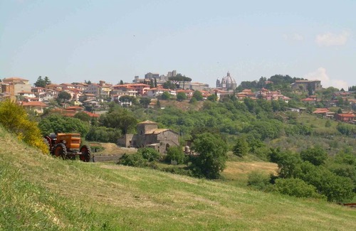 Montefiascone Apartment | 35 m² Apartment ∙ 1 bedroom ∙ 2 guests
