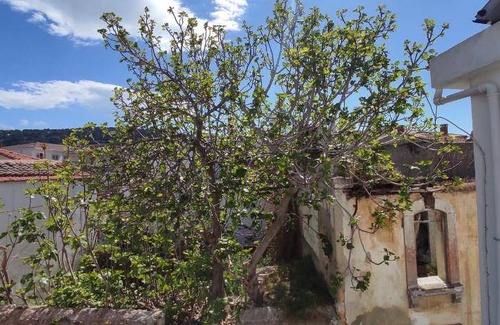 Ayvalik City Center House | 35 m² Motel ∙ 10 guests
