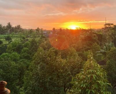 Kecamatan Sikur Cabin | 361 Alam