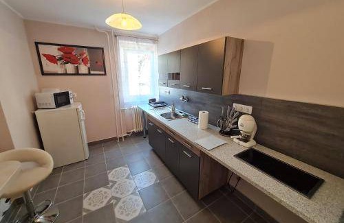 Tatabanya Apartment | 39 m² Apartment ∙ 1 bedroom ∙ 2 guests
