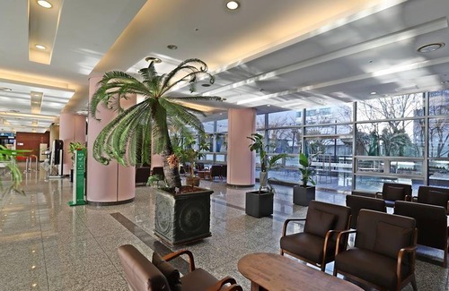Haeundae Hotel | 39 m² Hotel ∙ 10 guests