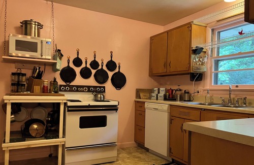 Williamsport House | 4 bed 2 bath Mid century modern in Vallamont, 10 mins from Lamade Stadium.