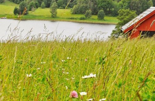Frandefors House | 4 person holiday home in Frändefors